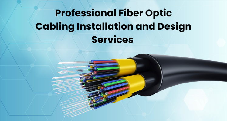 Fiber